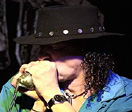 David Rotundo